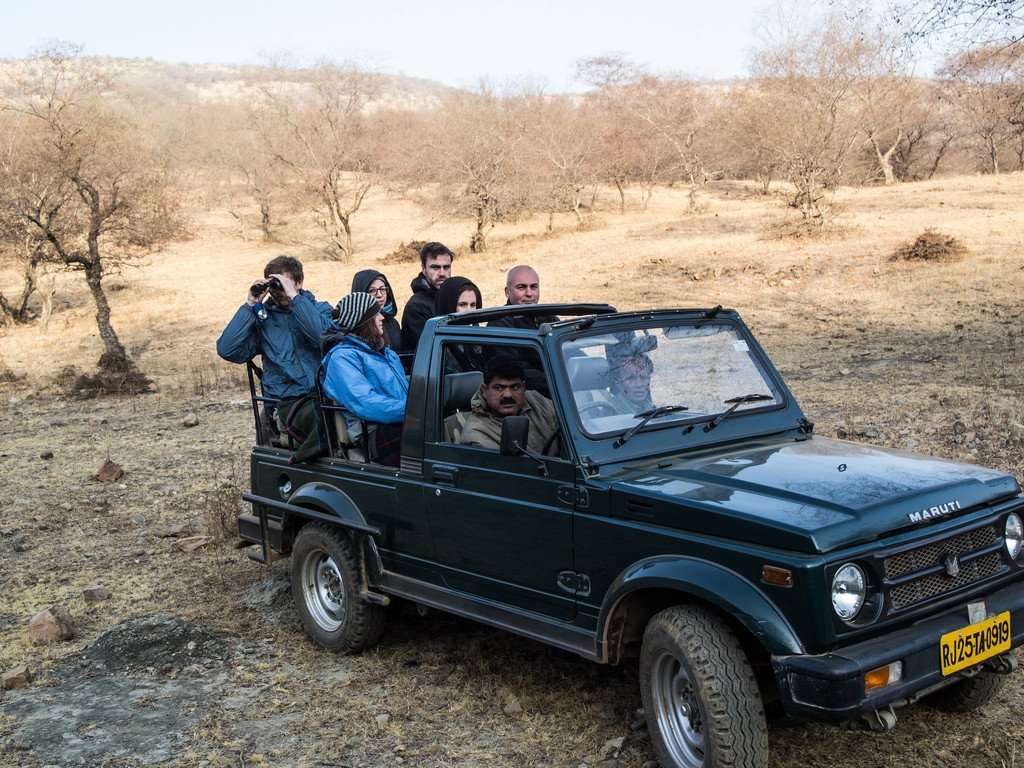 Jeep in Ranthambhore National Park, Rajasthan