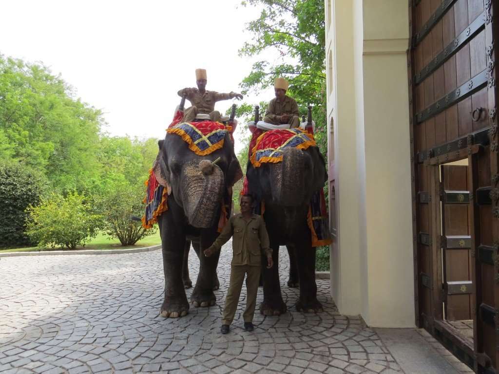 Elephants at the Oberoi Vanyavilas