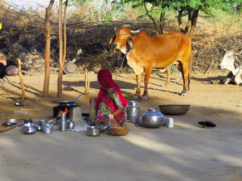 Lakshman Sagar breakfast in the fields Rajasthan