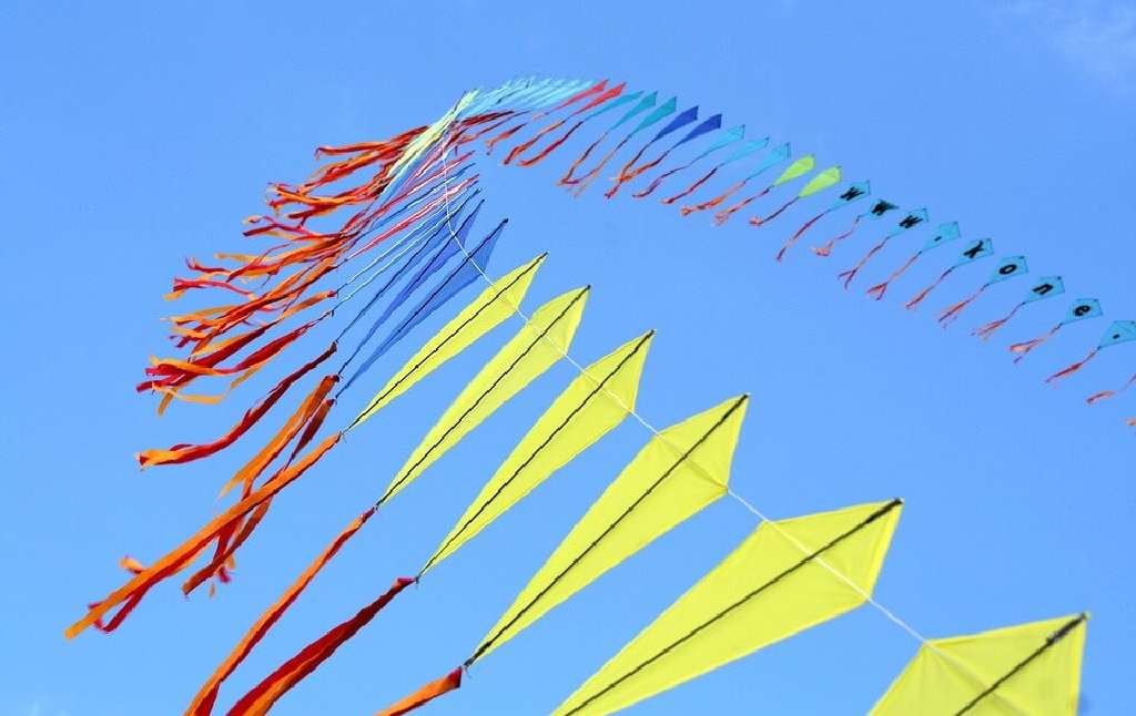Best festivals in Rajasthan Jaipur kite festival