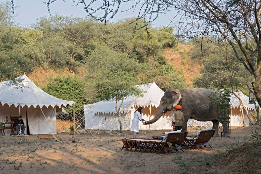 Dera Amer Wilderness Camp, Jaipur