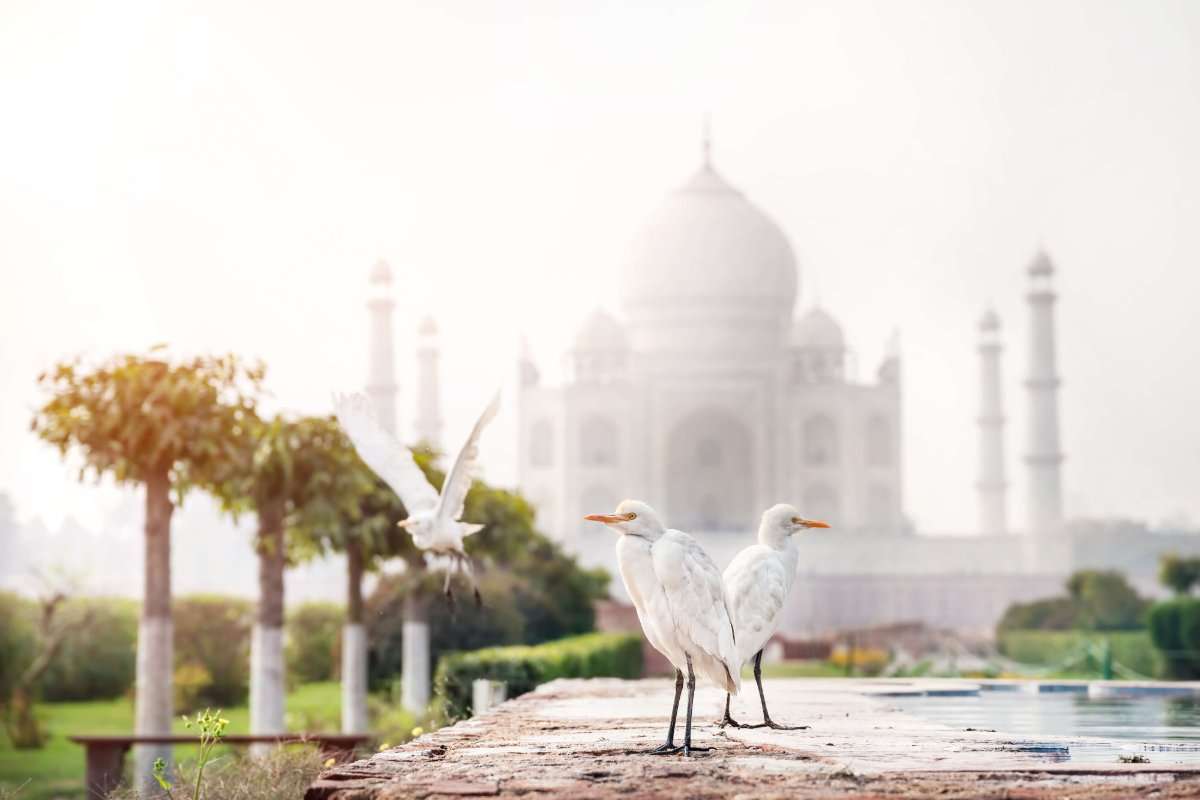 Mehtab Bagh, Agra