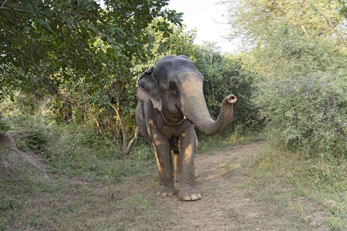Dera Amer, offbeat experiences in India's Golden Triangle